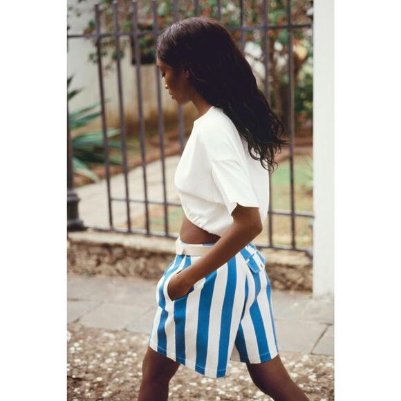 Maeve by Anthropologie Women's Blue & White Parasol Stripe Dad Shorts Size 2 - Picture 3 of 13